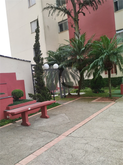 Foto REO1097539