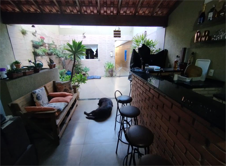Foto REO1097540