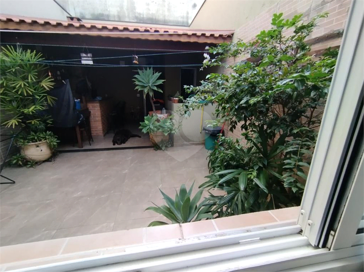 Foto REO1097540