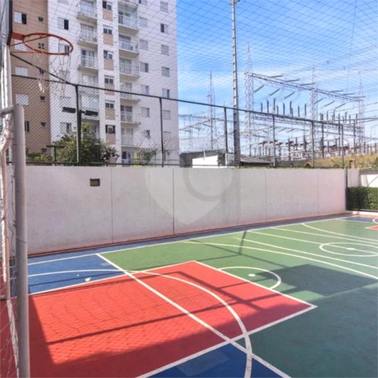 Foto REO1097550