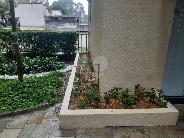 Foto REO1097552