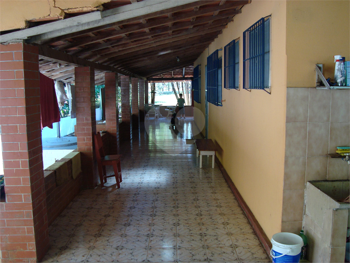 Foto REO1097553