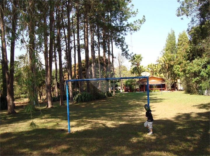 Foto REO1097553