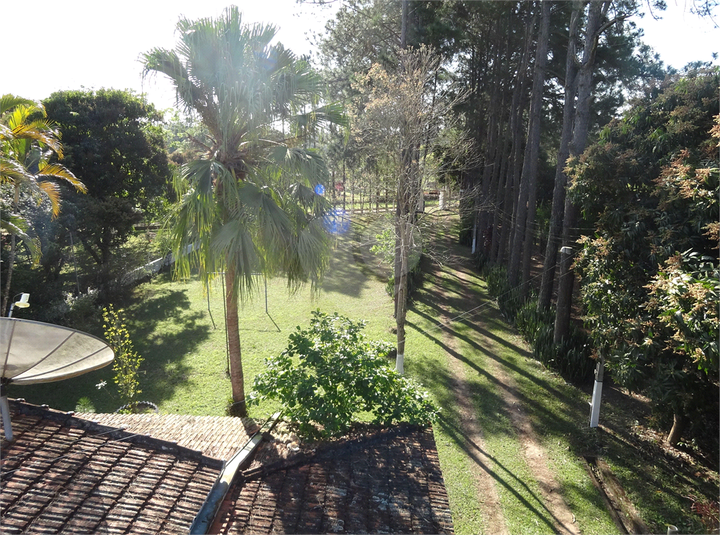 Foto REO1097553