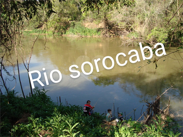 Foto REO1097553