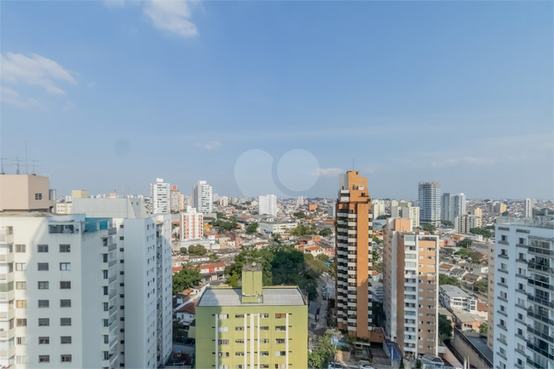 Foto REO1097564