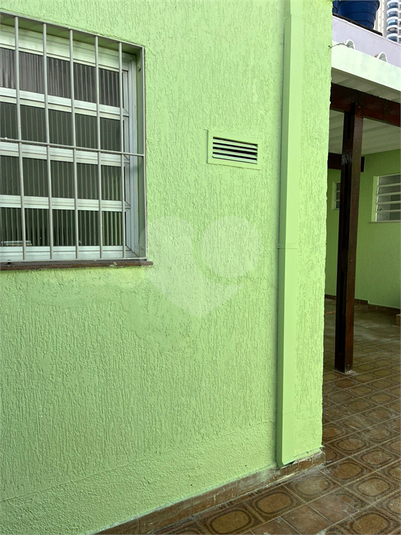 Foto REO1097568