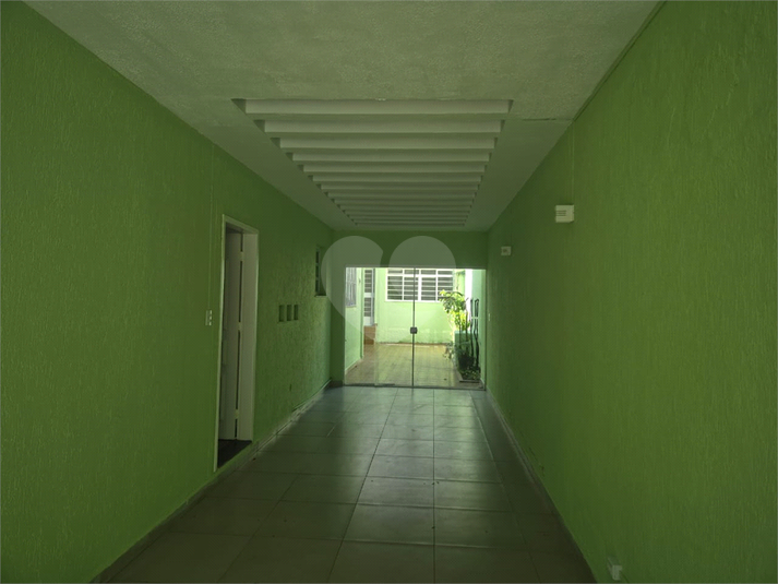 Foto REO1097568