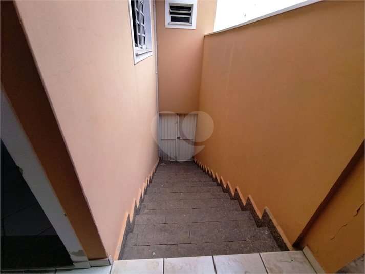 Foto REO1097581