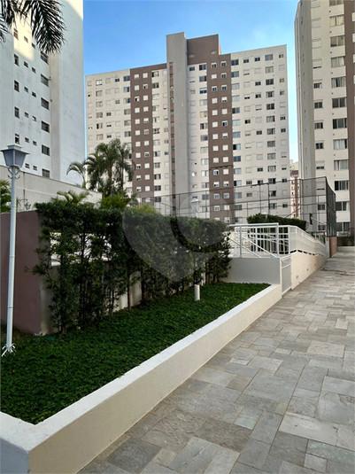 Foto REO1097583