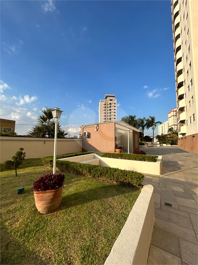 Foto REO1097583