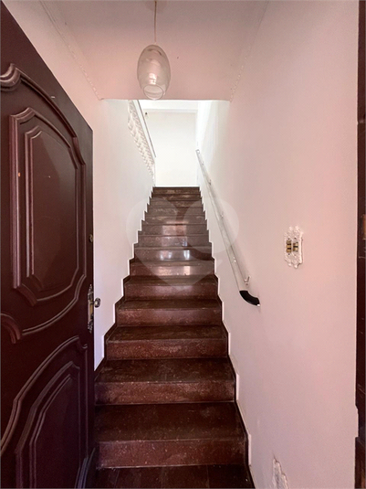 Foto REO1097590
