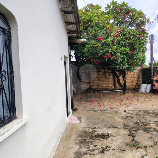 Foto REO1097604
