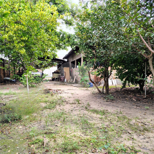 Foto REO1097604