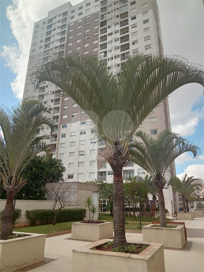 Foto REO1097608
