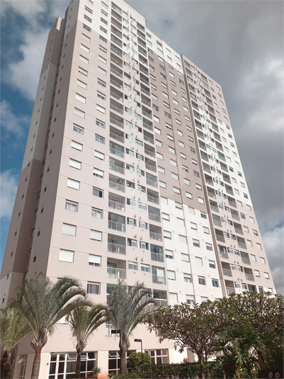 Foto REO1097608