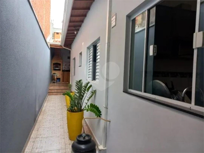 Foto REO1097613