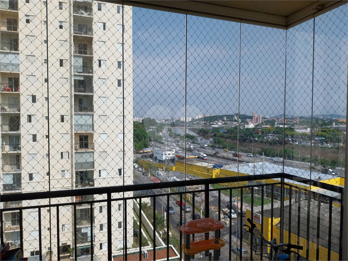 Foto REO1097614