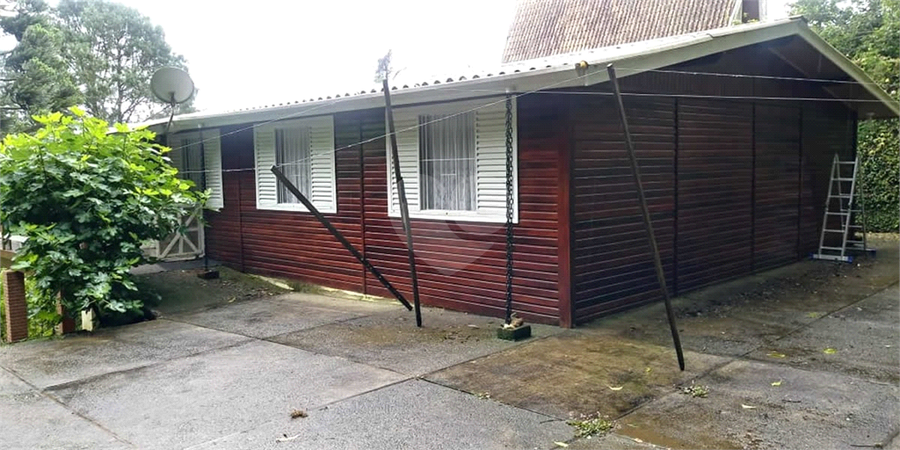 Foto REO1097626