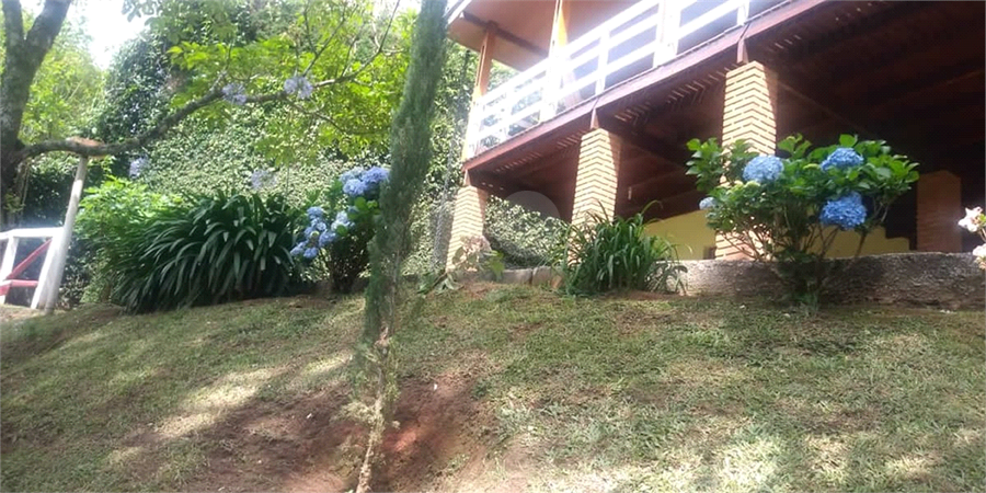 Foto REO1097626