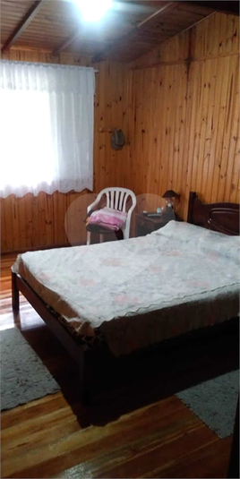 Foto REO1097626
