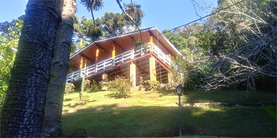 Foto REO1097626