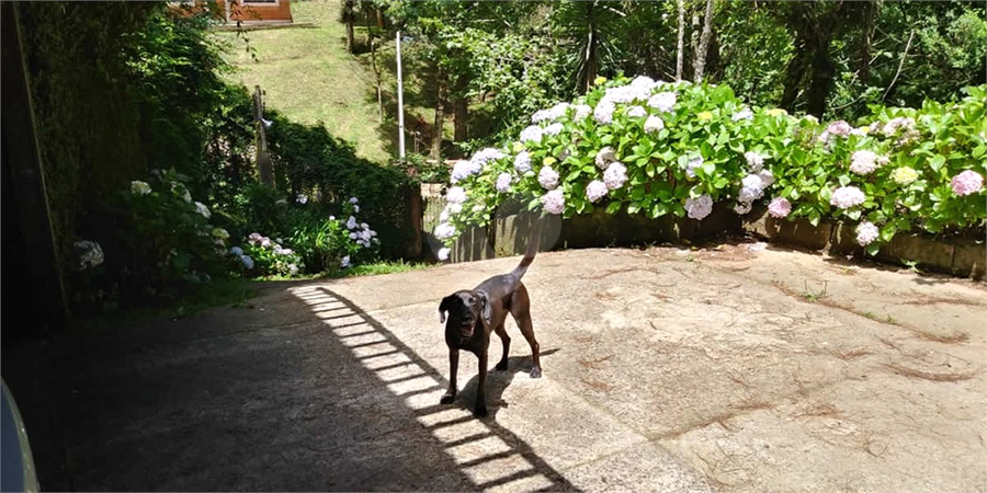 Foto REO1097626