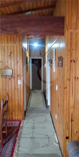 Foto REO1097626