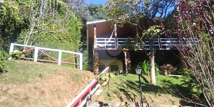 Foto REO1097626