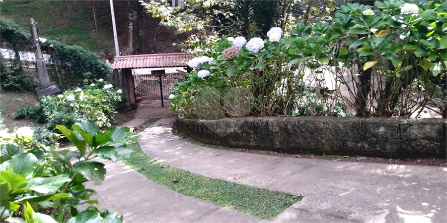 Foto REO1097626