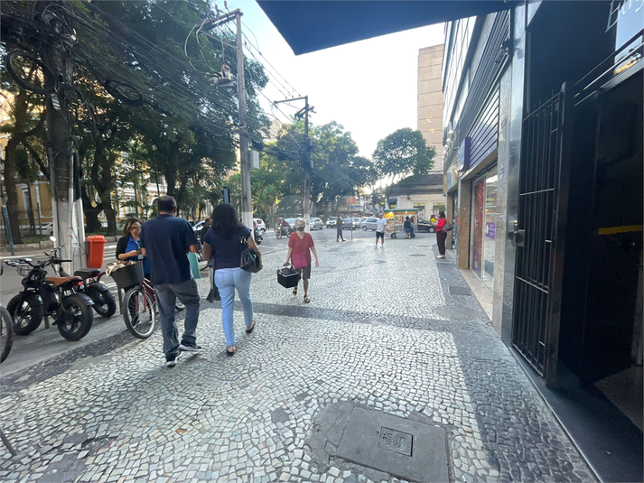 Foto REO1097629