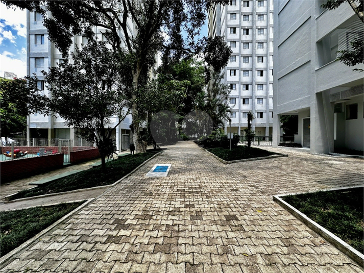 Foto REO1097642