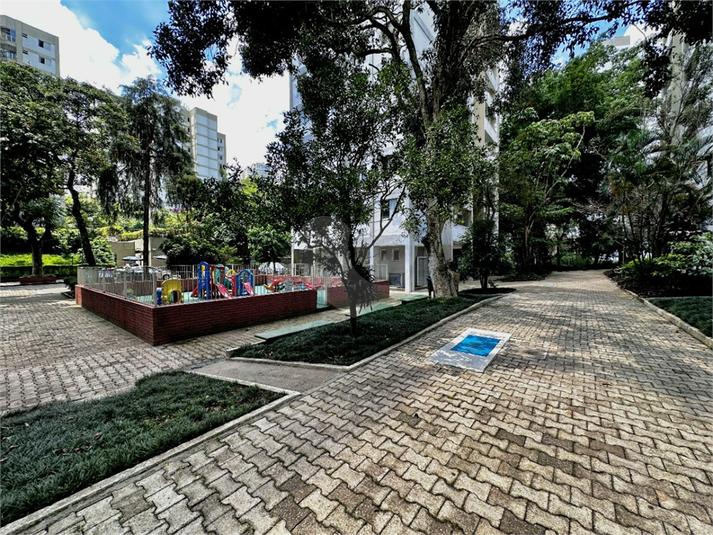 Foto REO1097642