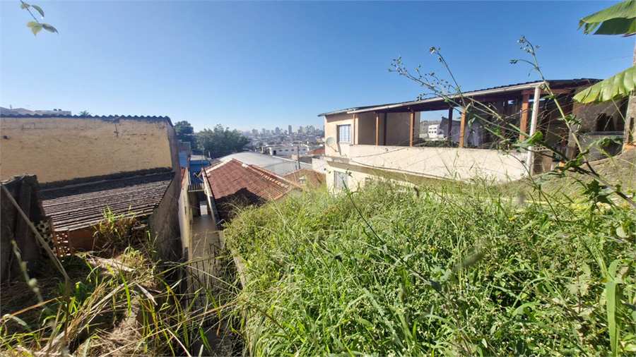 Foto REO1097655