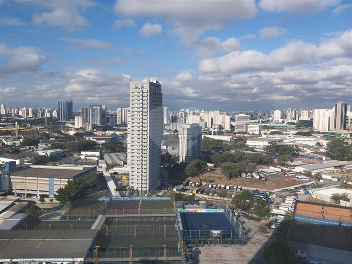 Foto REO1097665