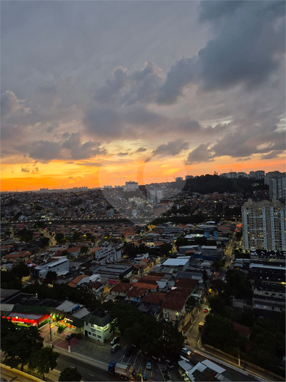 Foto REO1097682