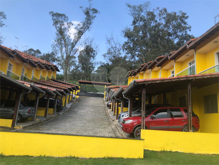 Foto REO1097685