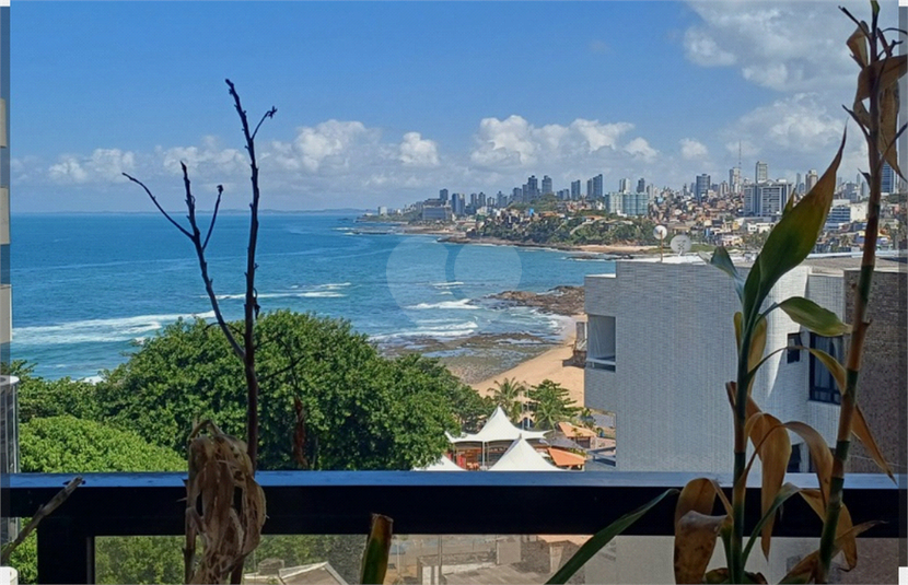 Foto REO1097688