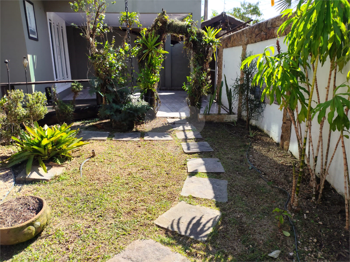 Foto REO1097695