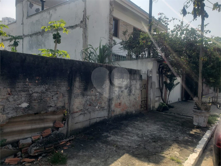 Foto REO1097697