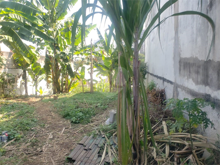 Foto REO1097697