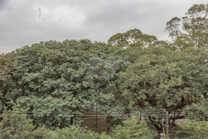 Foto REO1097699