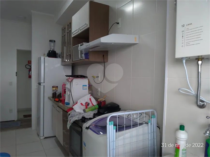 Foto REO1097703