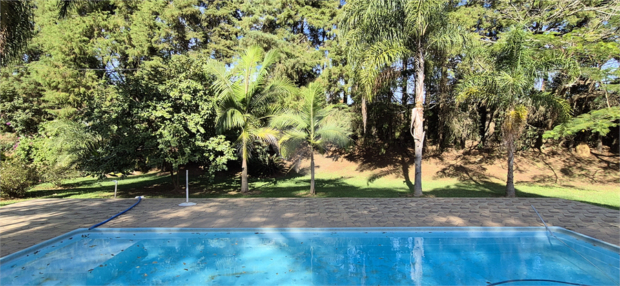 Foto REO1097705