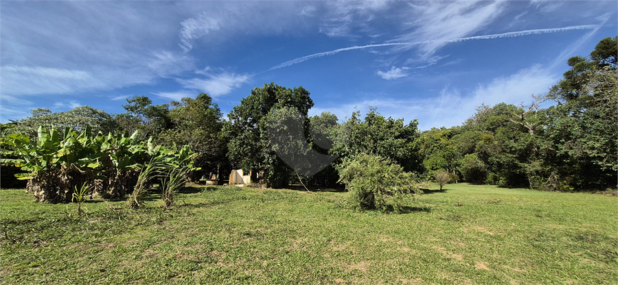 Foto REO1097705