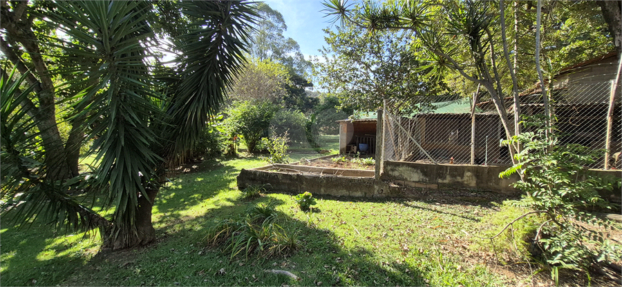 Foto REO1097705