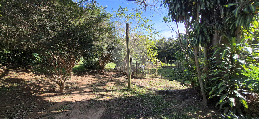 Foto REO1097705