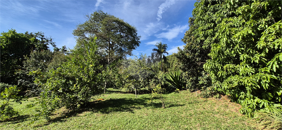 Foto REO1097705