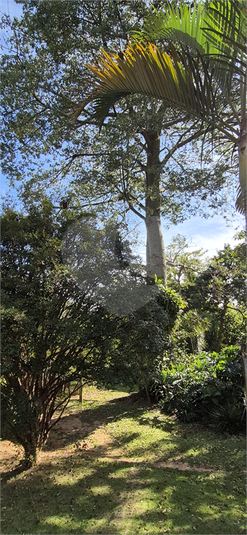 Foto REO1097705