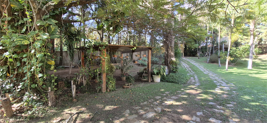 Foto REO1097705